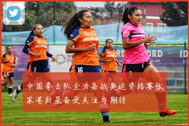 中国拳击队全力备战奥运资格赛张家港新星备受关注与期待