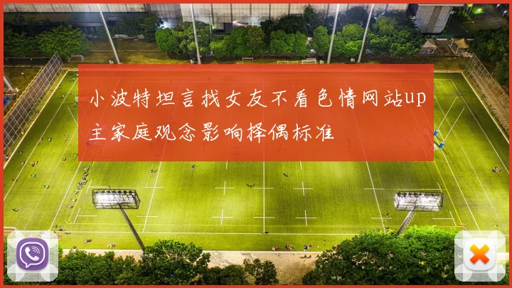 小波特坦言找女友不看色情网站up主家庭观念影响择偶标准