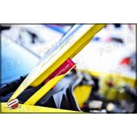JDM Renkli Kaput Yükseltici Altın Renk 90-00 İntegra / 88-00 Civic