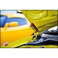 JDM Renkli Kaput Yükseltici Altın Renk 90-00 İntegra / 88-00 Civic